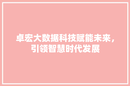 卓宏大数据科技赋能未来，引领智慧时代发展