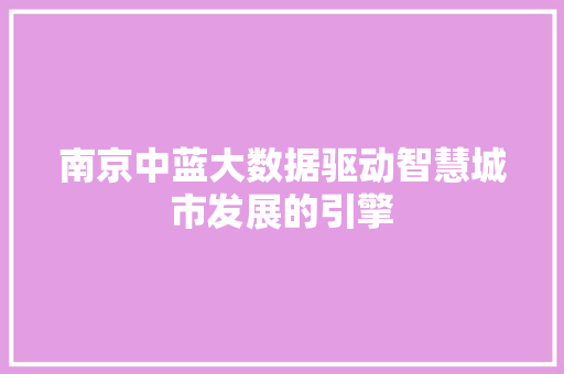 南京中蓝大数据驱动智慧城市发展的引擎