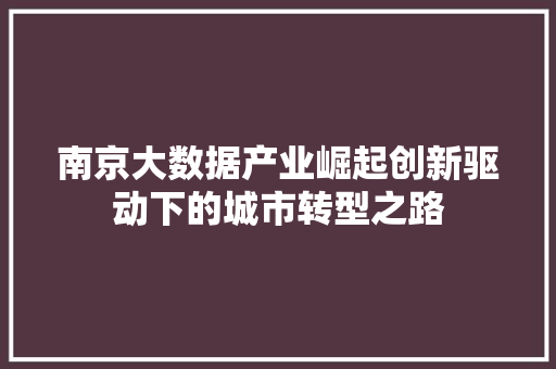 南京大数据产业崛起创新驱动下的城市转型之路