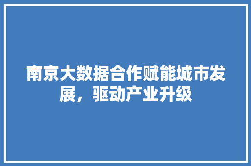 南京大数据合作赋能城市发展，驱动产业升级