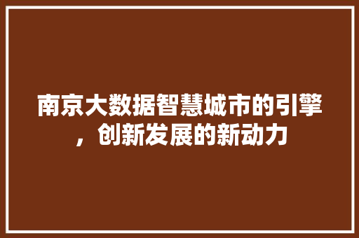 南京大数据智慧城市的引擎,创新发展的新动力 南京大数据智慧城市的引擎,创新发展的新动力