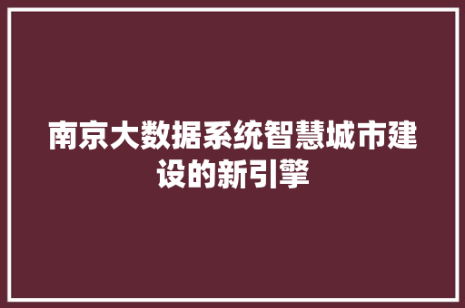 南京大数据系统智慧城市建设的新引擎