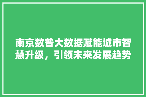 南京数普大数据赋能城市智慧升级，引领未来发展趋势 操作系统