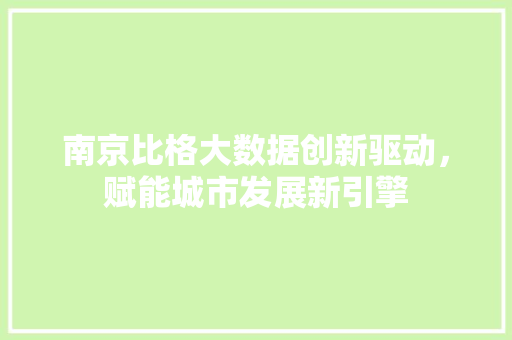 南京比格大数据创新驱动，赋能城市发展新引擎