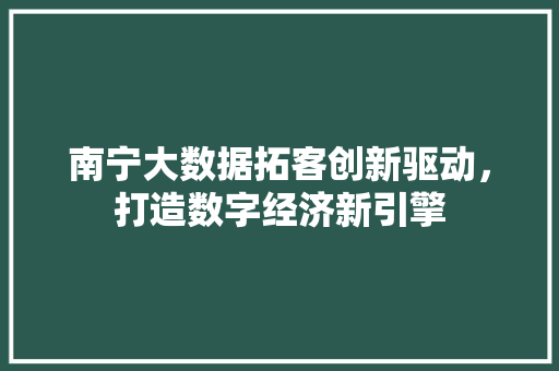 南宁大数据拓客创新驱动，打造数字经济新引擎