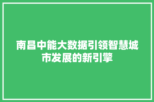 南昌中能大数据引领智慧城市发展的新引擎