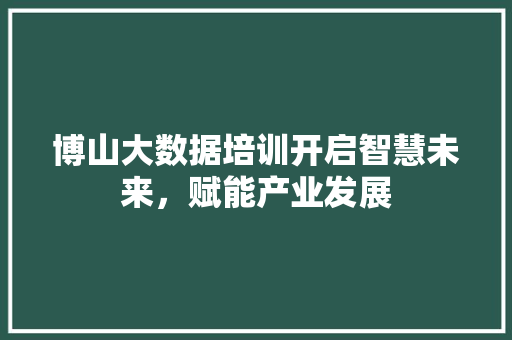 博山大数据培训开启智慧未来，赋能产业发展