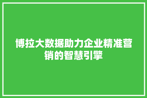 博拉大数据助力企业精准营销的智慧引擎