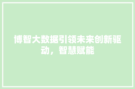 博智大数据引领未来创新驱动，智慧赋能