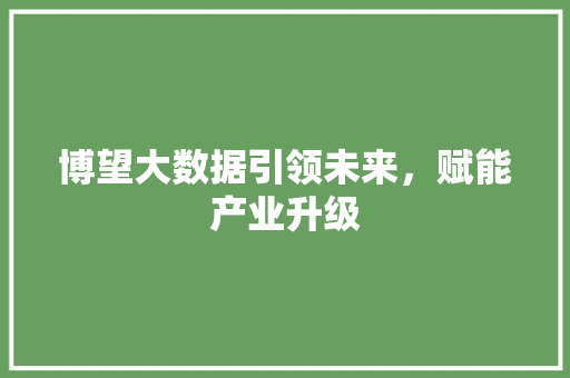 博望大数据引领未来，赋能产业升级 电脑配置