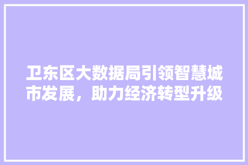 卫东区大数据局引领智慧城市发展，助力经济转型升级