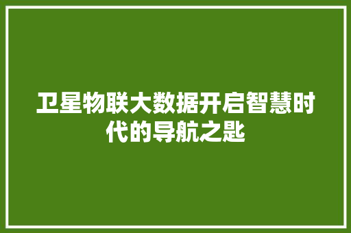 卫星物联大数据开启智慧时代的导航之匙