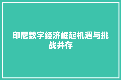 印尼数字经济崛起机遇与挑战并存