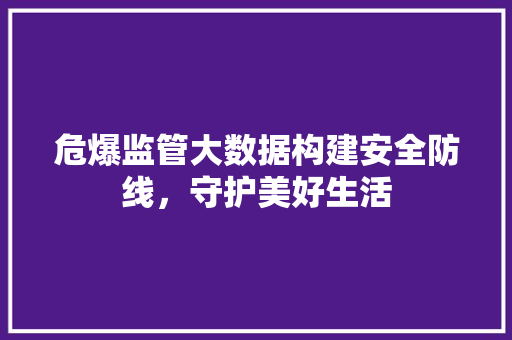 危爆监管大数据构建安全防线，守护美好生活
