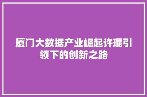 厦门大数据产业崛起许琨引领下的创新之路