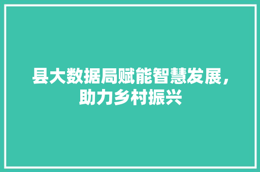县大数据局赋能智慧发展，助力乡村振兴