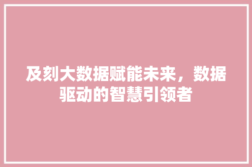 及刻大数据赋能未来，数据驱动的智慧引领者