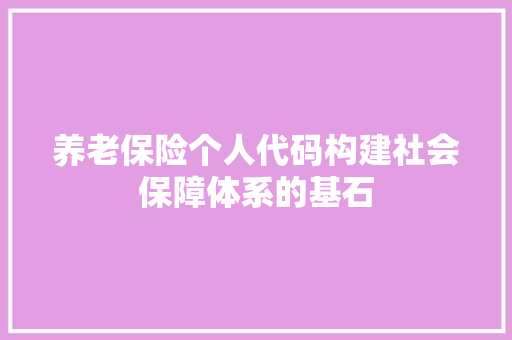 养老保险个人代码构建社会保障体系的基石