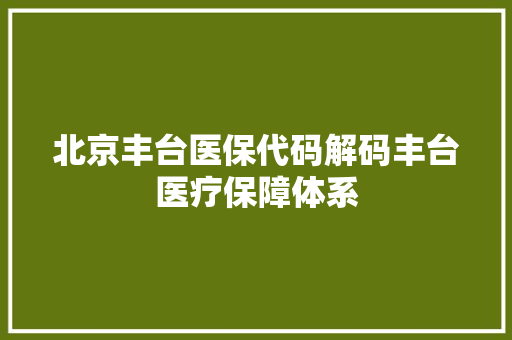 北京丰台医保代码解码丰台医疗保障体系 操作系统