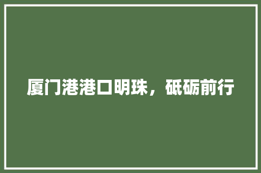 厦门港港口明珠，砥砺前行