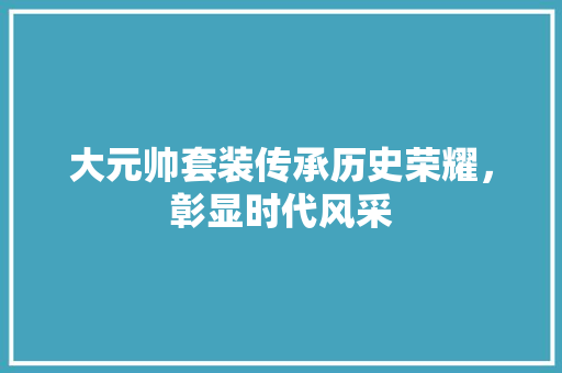 大元帅套装传承历史荣耀，彰显时代风采 操作系统