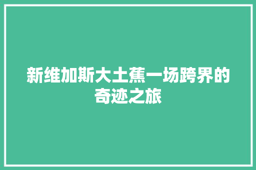 新维加斯大土蕉一场跨界的奇迹之旅 操作系统