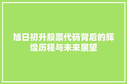 旭日初升股票代码背后的辉煌历程与未来展望 电脑配置
