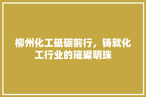 柳州化工砥砺前行，铸就化工行业的璀璨明珠 电脑基础