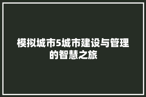 模拟城市5城市建设与管理的智慧之旅 网络技术