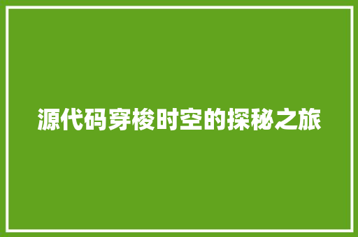 源代码穿梭时空的探秘之旅 电脑基础