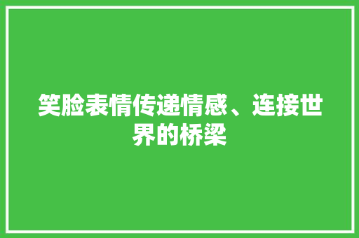 笑脸表情传递情感、连接世界的桥梁 电脑故障维修 笑脸表情传递情感、连接世界的桥梁 电脑故障维修