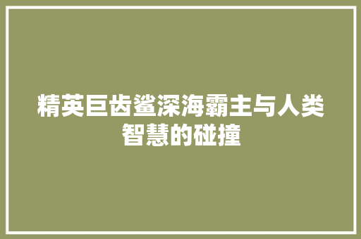 精英巨齿鲨深海霸主与人类智慧的碰撞 电脑配置