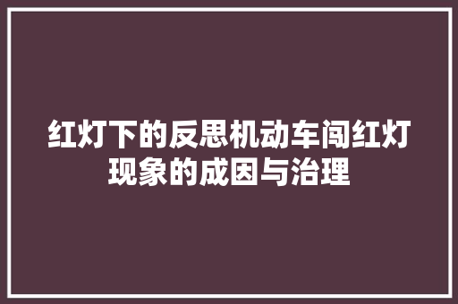 红灯下的反思机动车闯红灯现象的成因与治理
