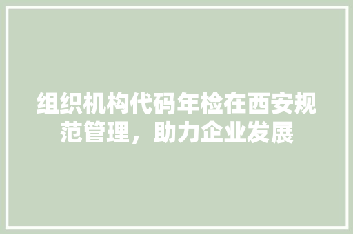 组织机构代码年检在西安规范管理，助力企业发展 电脑基础