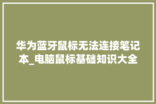 华为蓝牙鼠标无法连接笔记本_电脑鼠标基础知识大全