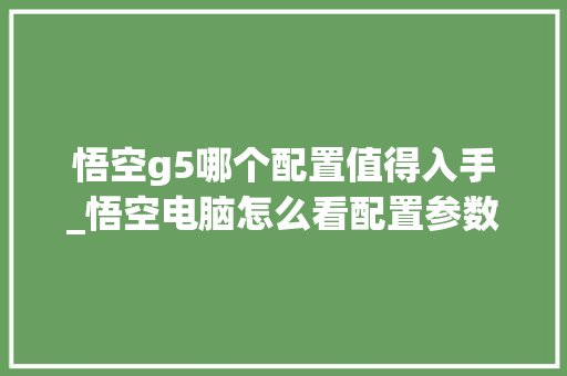 悟空g5哪个配置值得入手_悟空电脑怎么看配置参数