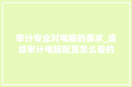 审计专业对电脑的要求_连续审计电脑配置怎么看的