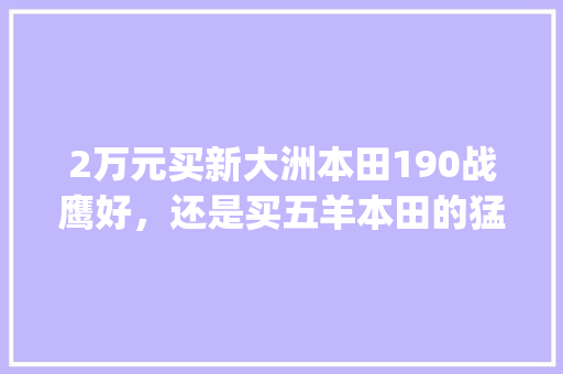2万元买新大洲本田190战鹰好，还是买五羊本田的猛鸷好_战鹰的电脑配置怎么看的 网络技术