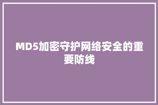 MD5加密守护网络安全的重要防线