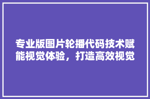 专业版图片轮播代码技术赋能视觉体验,打造高效视觉营销步骤 专业版图片轮播代码技术赋能视觉体验,打造高效视觉营销步骤