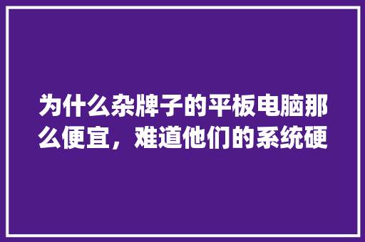 为什么杂牌子的平板电脑那么便宜，难道他们的系统硬件都是山寨的吗_怎么看山寨电脑真实配置参数