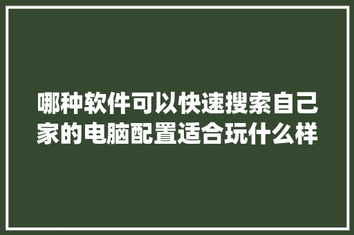 哪种软件可以快速搜索自己家的电脑配置适合玩什么样的游戏_电脑没有软件怎么看配置信息