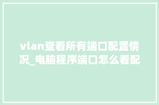 vlan查看所有端口配置情况_电脑程序端口怎么看配置参数 编程语言