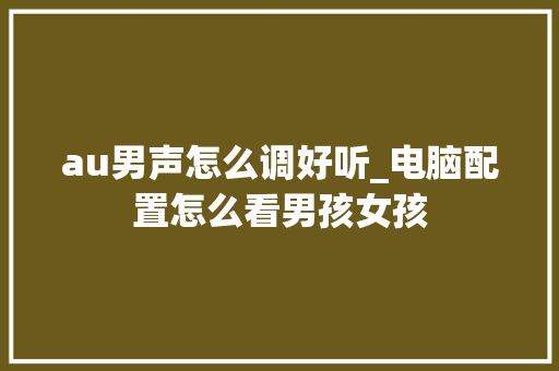au男声怎么调好听_电脑配置怎么看男孩女孩 编程语言