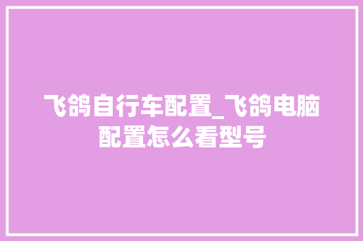 飞鸽自行车配置_飞鸽电脑配置怎么看型号