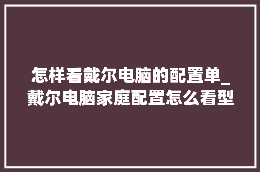 怎样看戴尔电脑的配置单_戴尔电脑家庭配置怎么看型号
