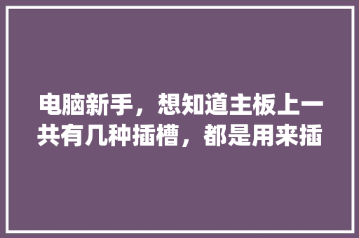 电脑新手，想知道主板上一共有几种插槽，都是用来插什么卡的，如何区分它们_电脑基础知识主板推荐