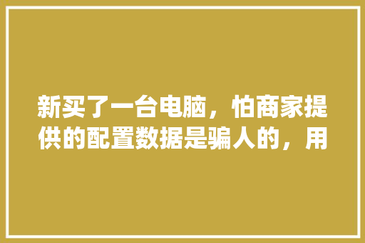 新买了一台电脑，怕商家提供的配置数据是骗人的，用鲁大师能准确检测出电脑硬件配置吗_电脑配置牌子怎么看的