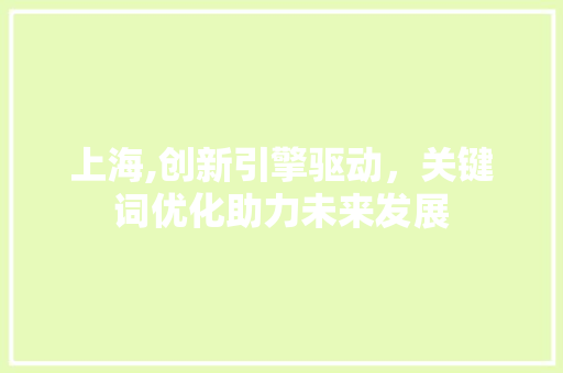 上海,创新引擎驱动，关键词优化助力未来发展
