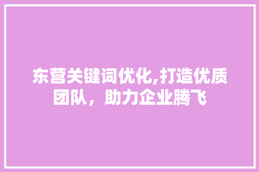 东营关键词优化,打造优质团队，助力企业腾飞